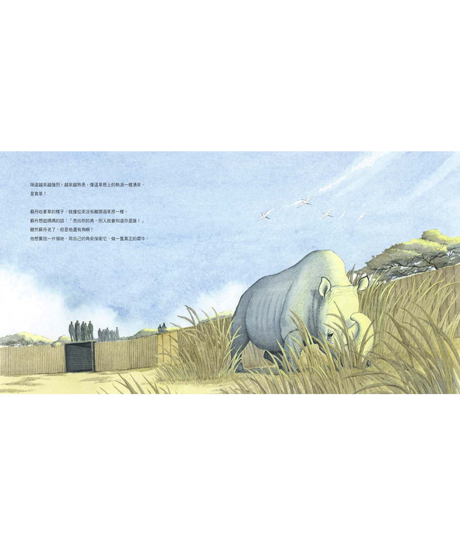 【豐子愷兒童圖畫書獎首獎】雙書組《盤中餐》《蘇丹的犀角》