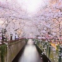 用戶頭像
