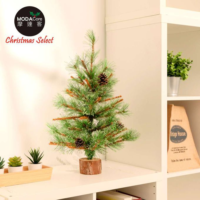 MODACore 摩達客 - 摩達客耶誕-60cm高級開花黃枝松針原木底座聖誕樹裸樹/不含配件/本島免運費