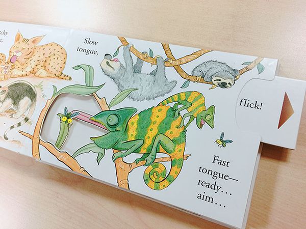 人氣外文操作書✭部落客都推薦的百葉窗書 / 觸摸翻翻書/ 推拉操作書