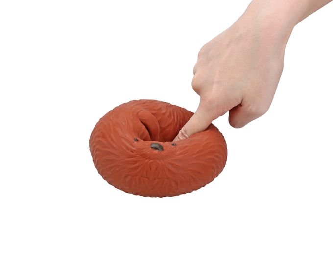 樂彩森林 - 療癒捏捏樂-摸摸棕熊