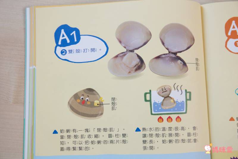 康軒文教事業 - Why博士套書