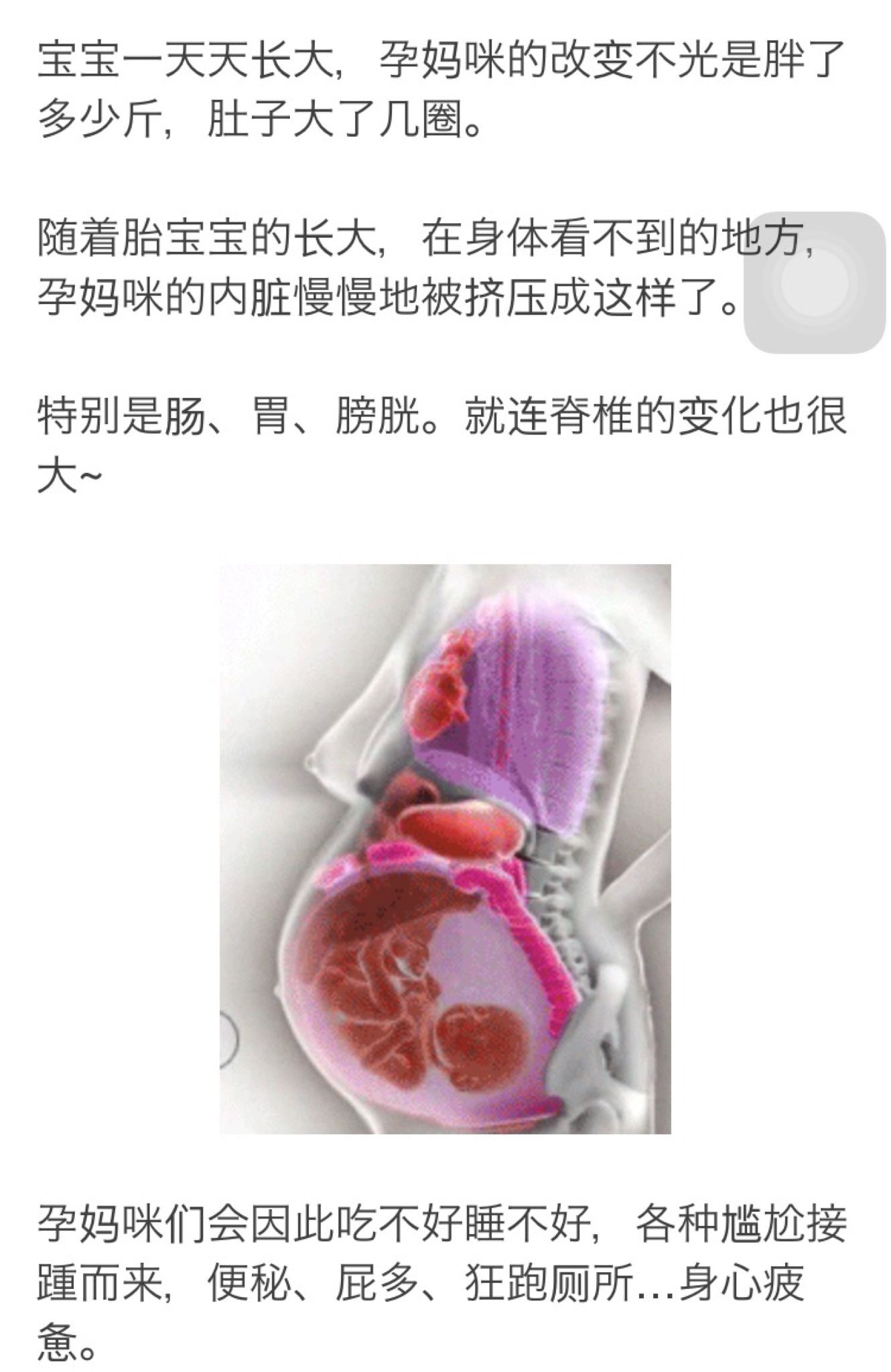 五臟六腑都被寶寶壓扁了