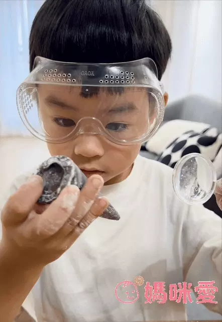 NATIONAL GEOGRAPHIC - 國家地理頻道 恐龍化石挖掘套組