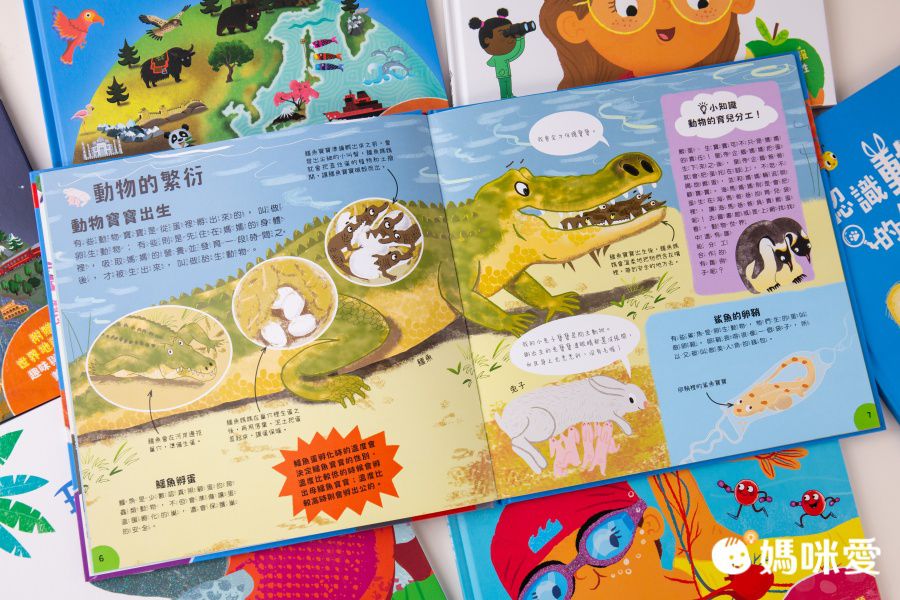 小小知識家的百科書套書10冊(書盒版)