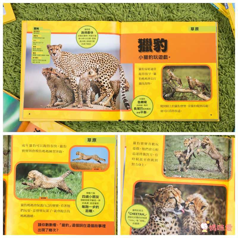 小小動物探險家 (精裝 / 128頁 / 全彩印刷)