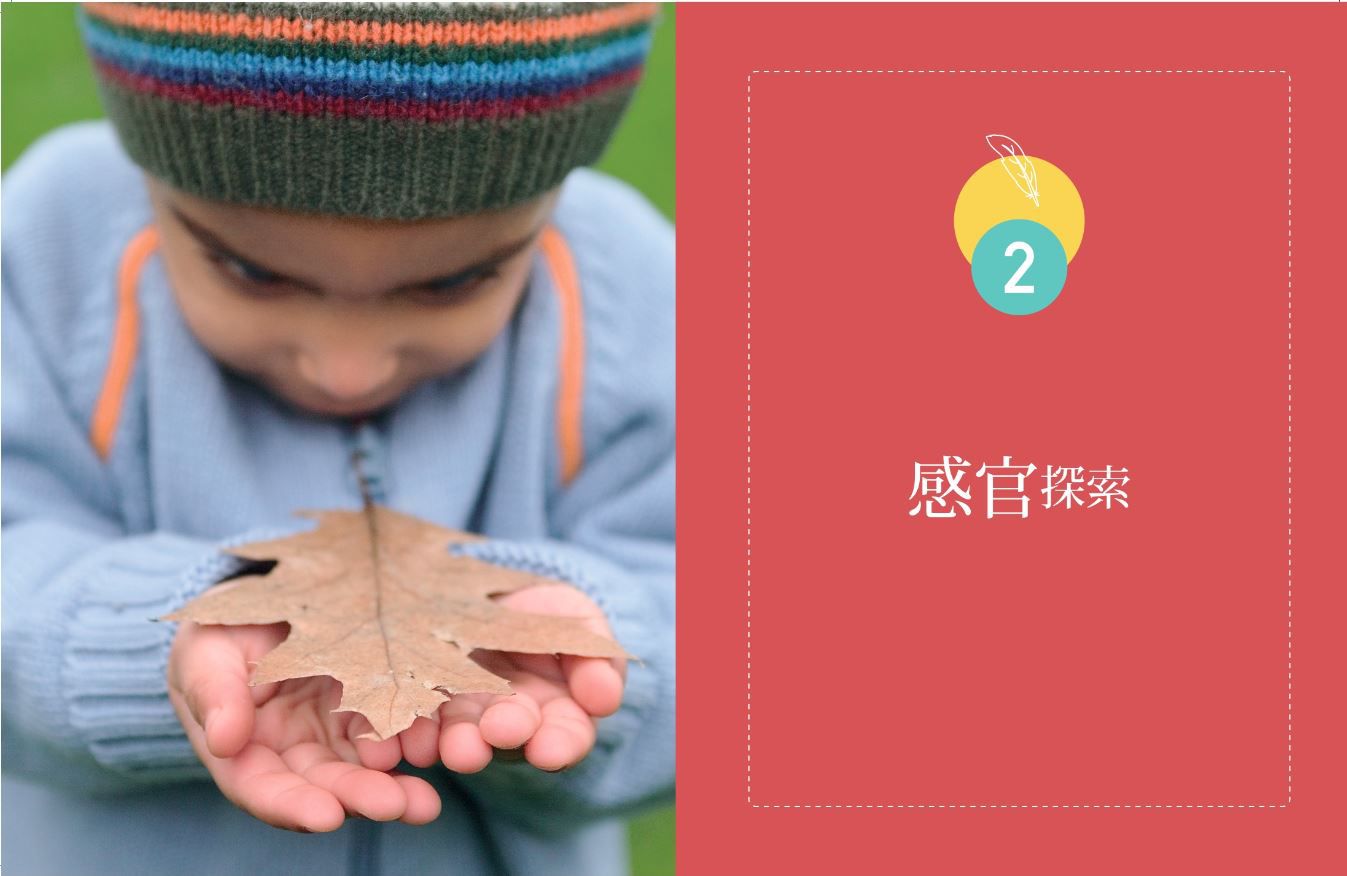 在家也能蒙特梭利(全新增訂版)