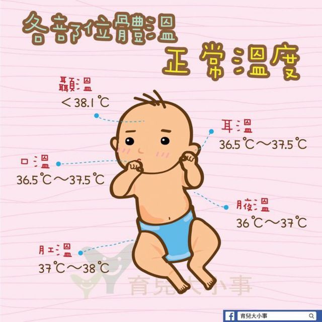 給你參考