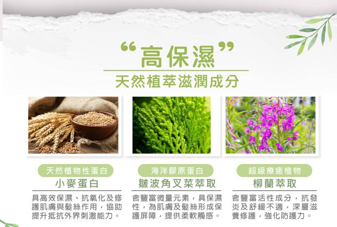 雲朵寶寶2合1洗沐慕斯-添加3種高保濕植萃成分，為肌膚及秀髮提供深層滋潤，強化防護。