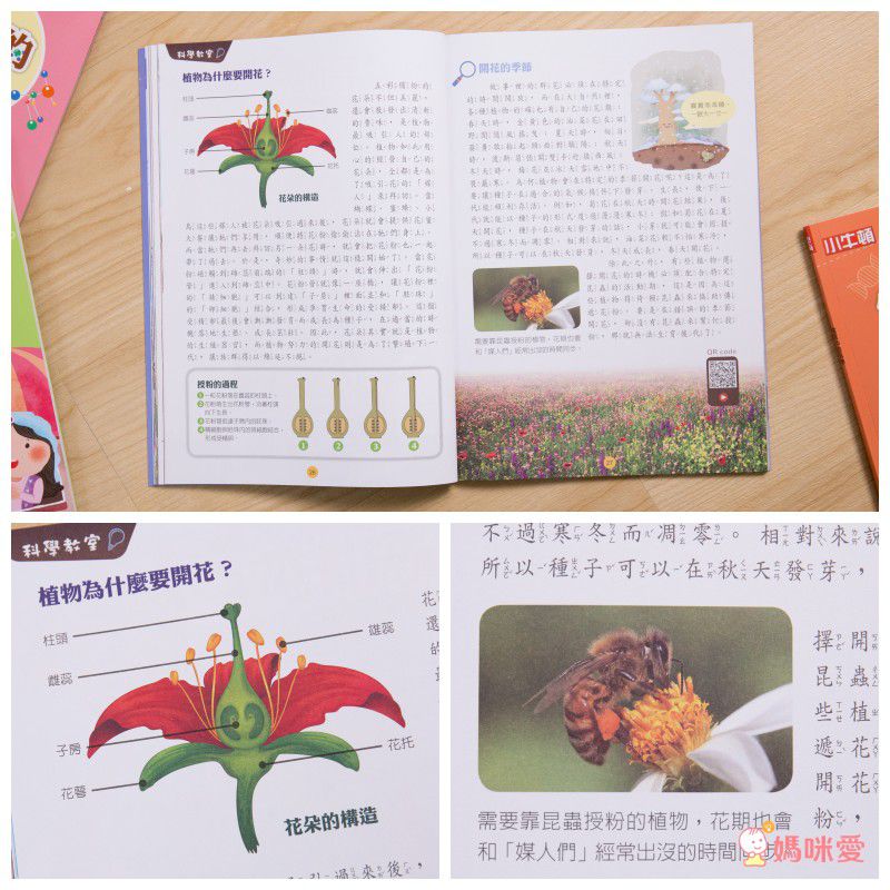 小牛頓【漫畫成語百科】語文＆科學一套搞定！看漫畫輕鬆學知識