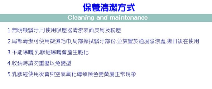 Leafbaby - 愛寶貝100%天然乳膠兒童枕-寶貝夢想國