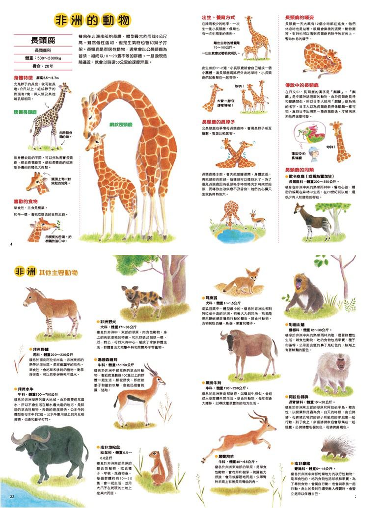 野生動物生態繪本