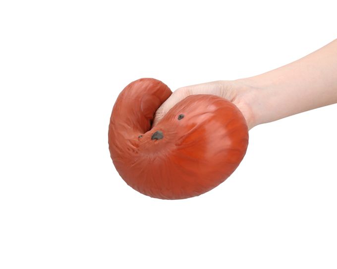 樂彩森林 - 療癒捏捏樂-摸摸棕熊