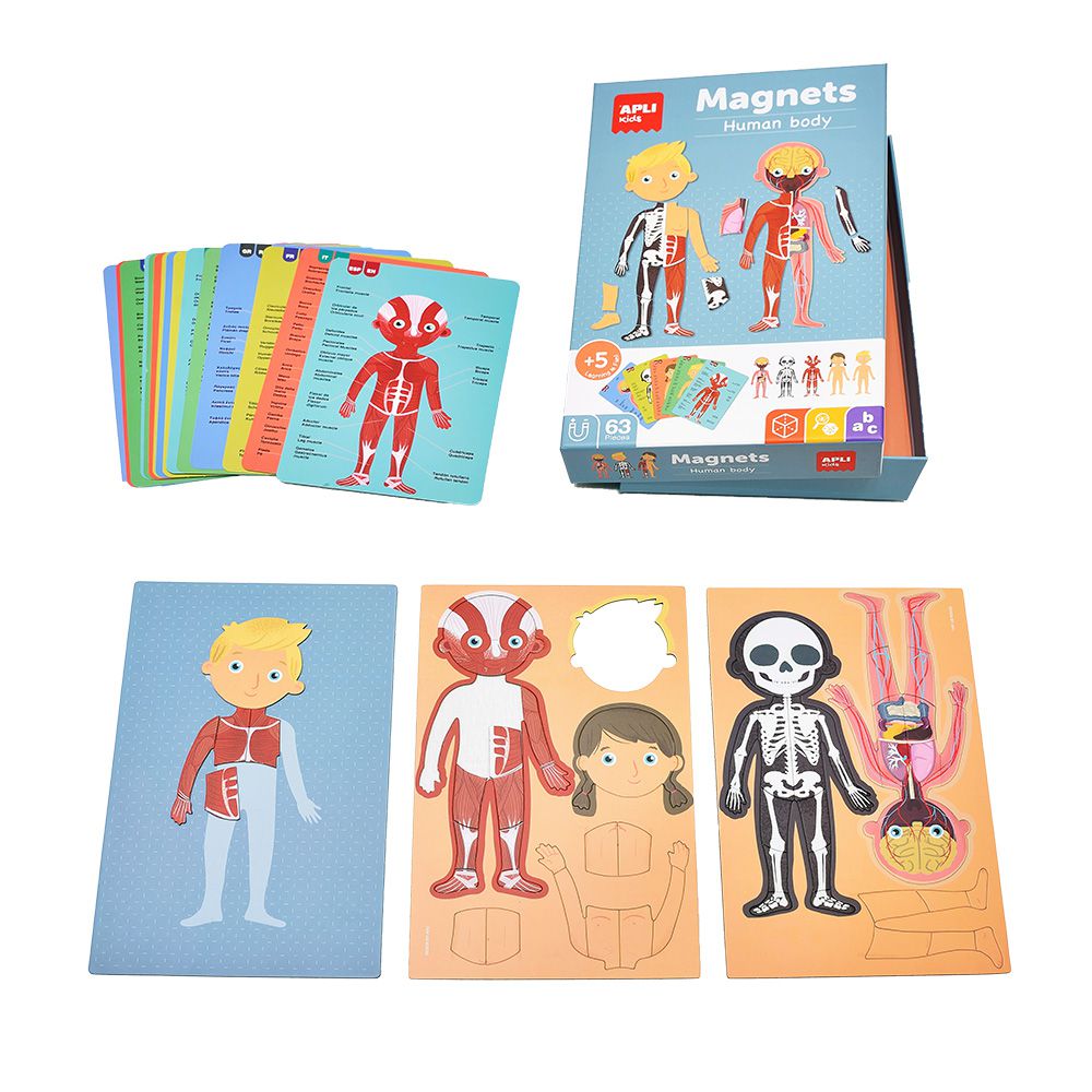 西班牙 APLI - 人體結構讀一讀
