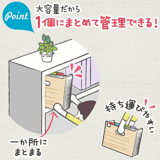 日本文具 SONIC - 多功能學習用分類整理盒 (33x23.5x2.4cm)