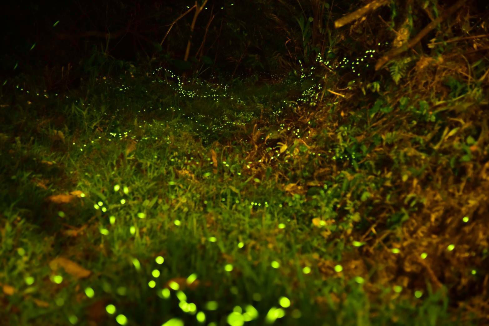 5折泡湯趣！福容大飯店【福隆】限時特賣