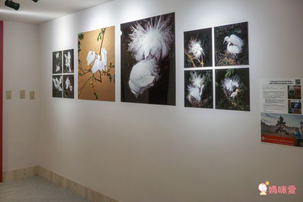 48折↘【礁溪兆品酒店】平日升等雅緻家庭房！入住效期到年底！