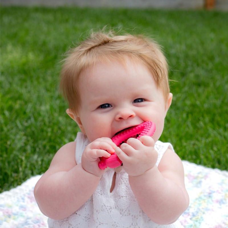 美國 green sprouts - 小綠芽食品安全等級矽膠固齒器-紅草莓