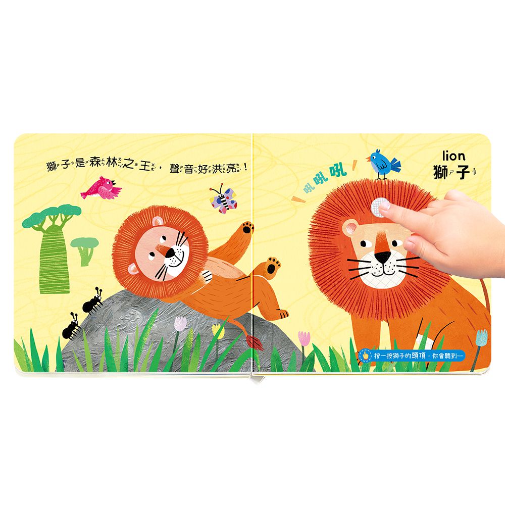 【白袍聯盟】這是什麼聲音 有聲書系列 (全套6冊)