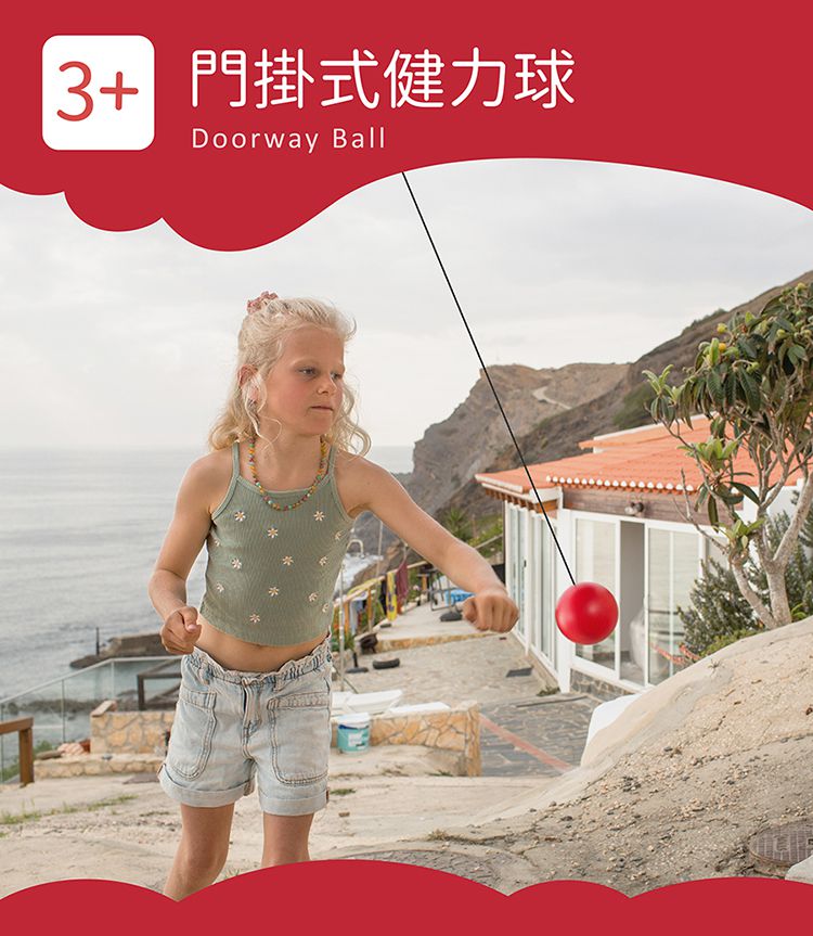 荷蘭BS - 門掛式健力球