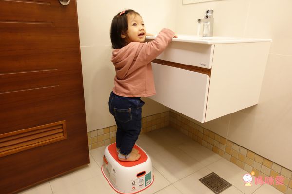 美國 PRINCE LIONHEART