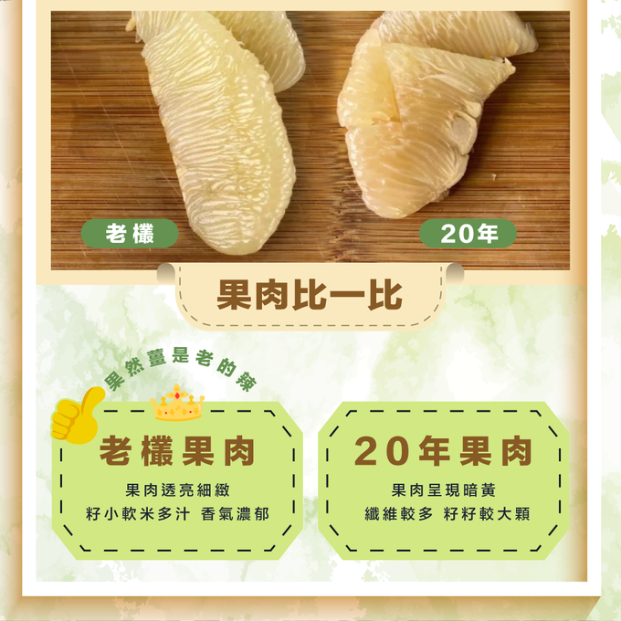 果子禮 - 35年喝乳酸菌長大的老欉文旦5斤X4箱