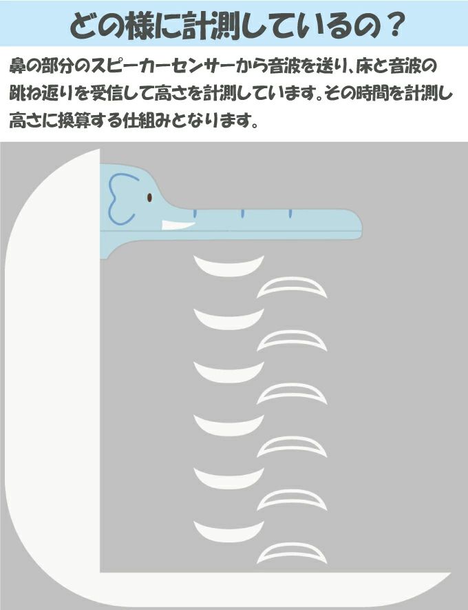 【日本Hashy】長頸鹿身高測量器
