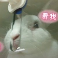 用戶頭像