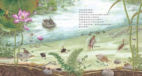 青林國際出版 - 荷花池