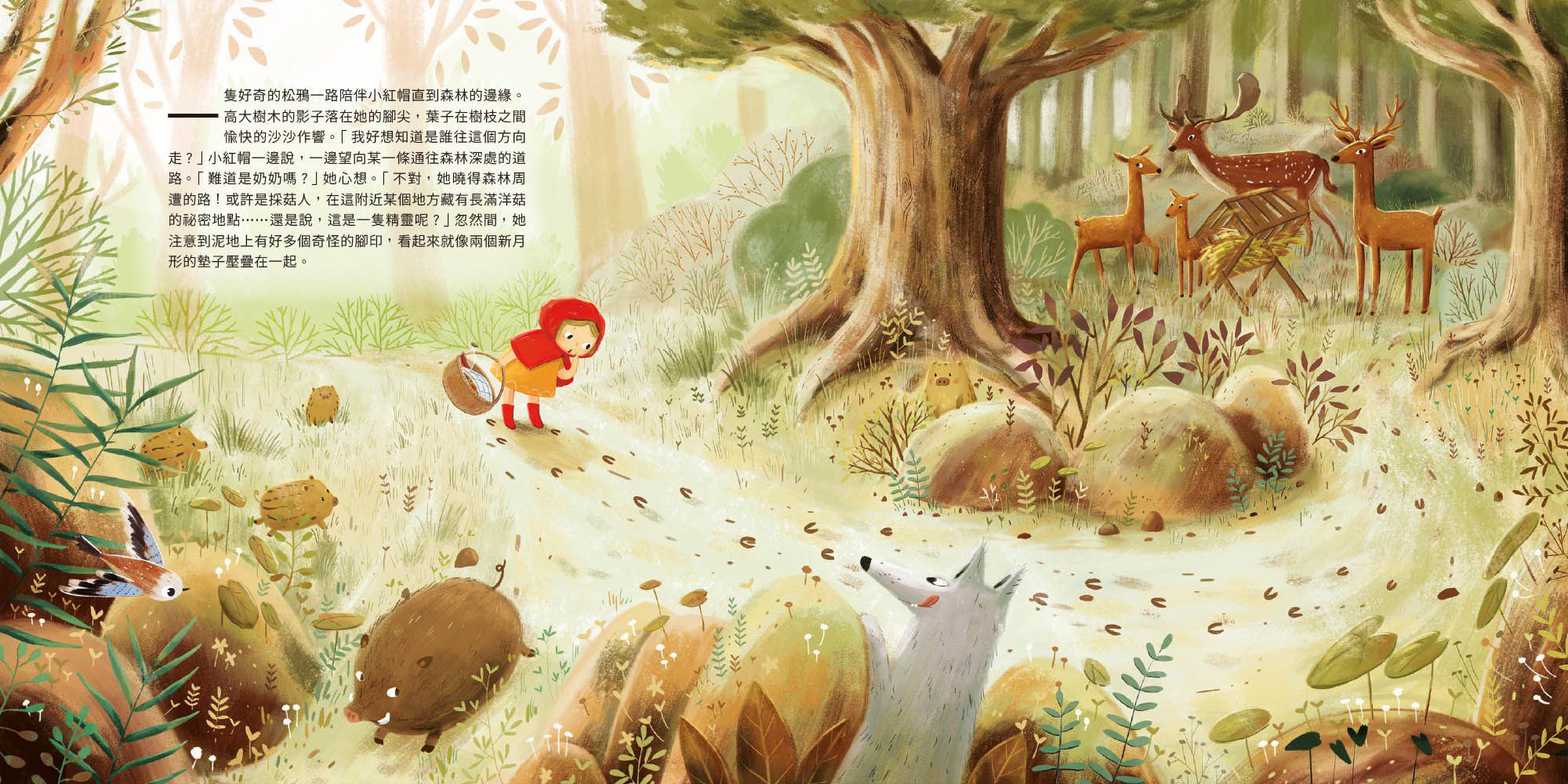 童話知識小百科翻翻書1跟著小紅帽認識森林動物