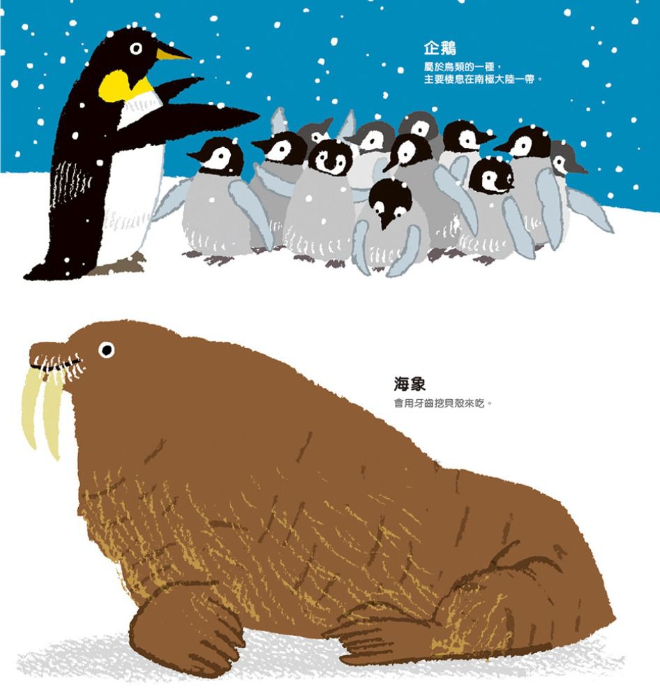 我的第一本圖片認知書：動物1