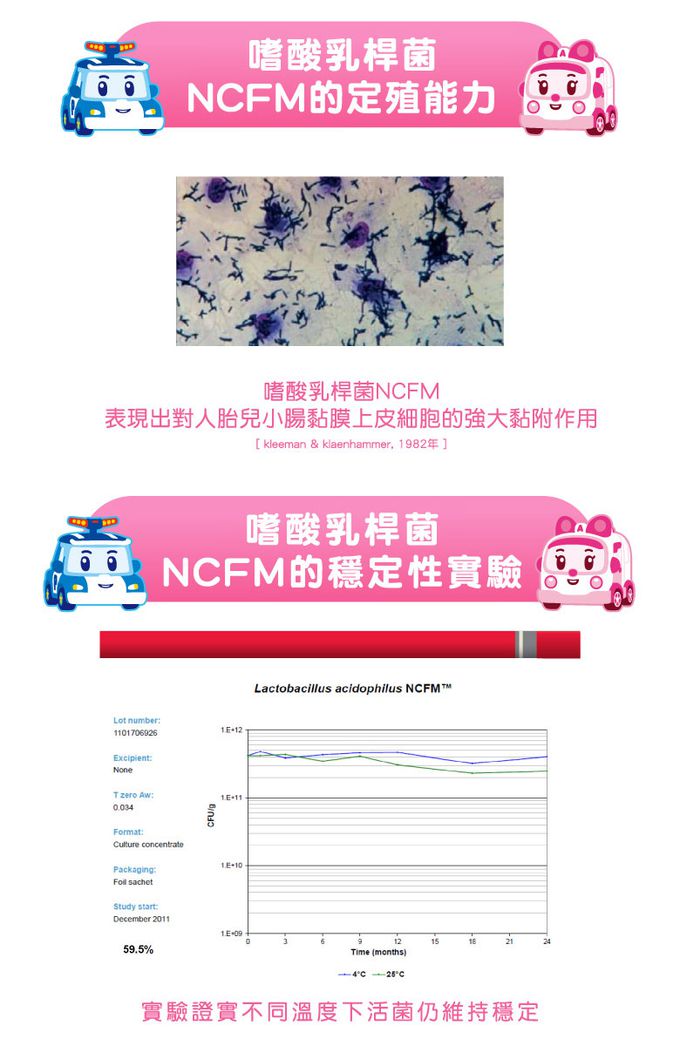 鑫耀生技Panda - 安寶乳糖寶綜合消化酵素50入隨手包-一包2g 50包入