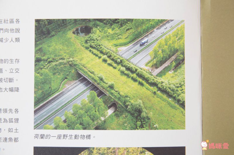 小狐狸回家-精裝圖畫書