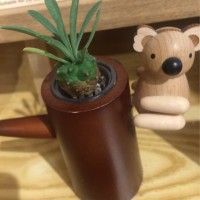 用戶頭像