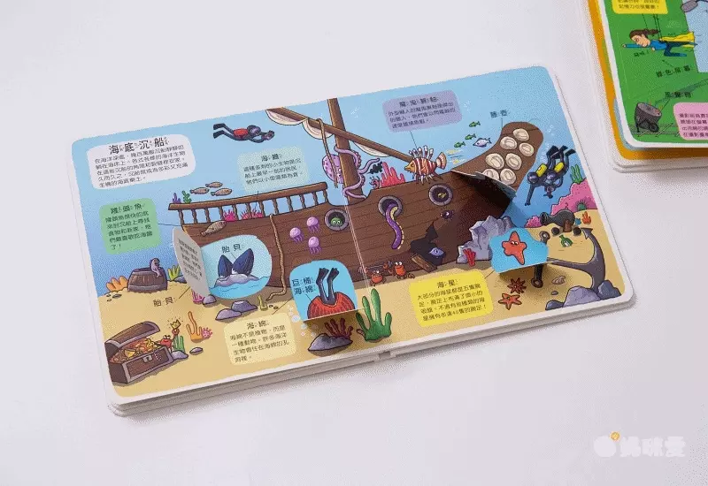 翻！身體-圖解百科翻翻書