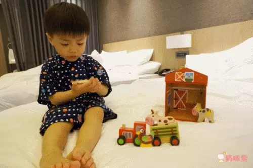 比利時 Scratch - 動物園遊戲屋