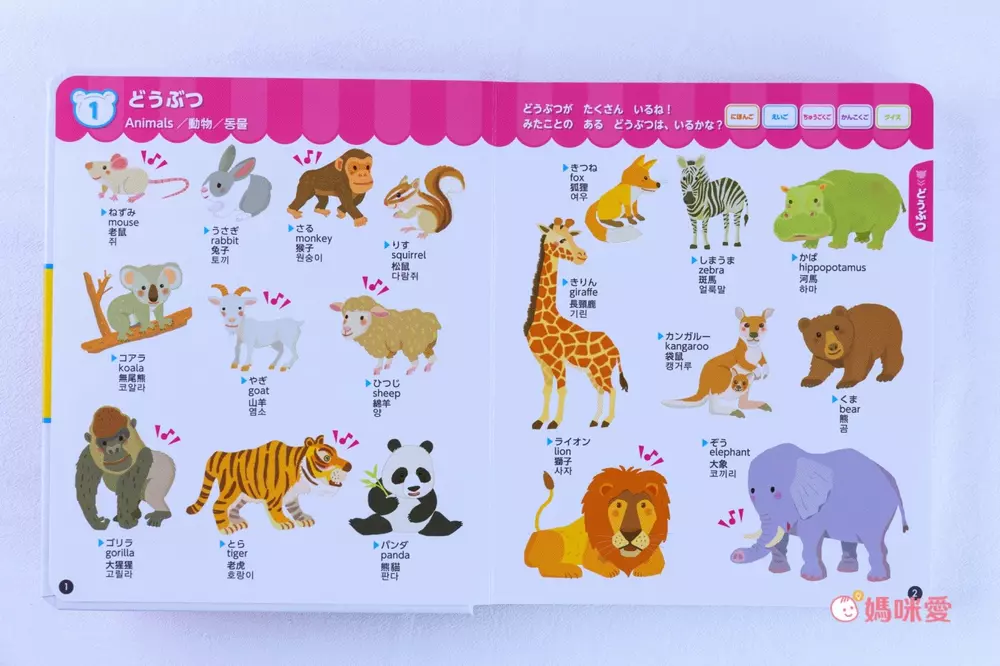 日本設計研發《KIDsREAD 四語圖解字典 》終於補貨！