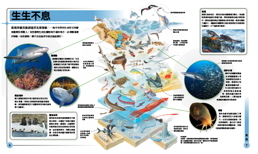 超能力鯊魚百科：驚人的海洋動物大圖解 (精裝 / 208頁 /全彩印刷)