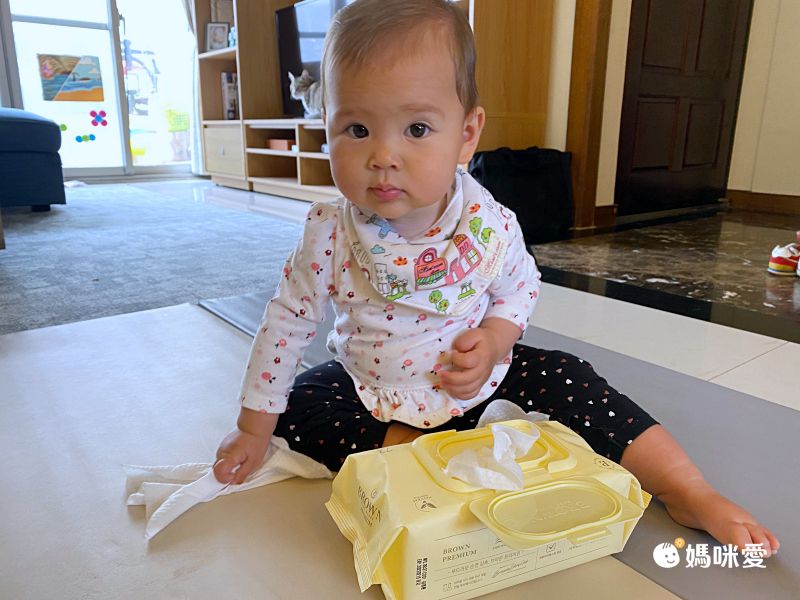 韓國BROWN - PREMIUM濕紙巾-蘆薈20抽(含蓋)*20包