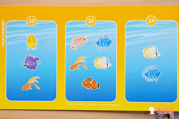 Miss Jill x Evan哥 專屬團購 ♕ 比利時SMART GAMES益智桌遊