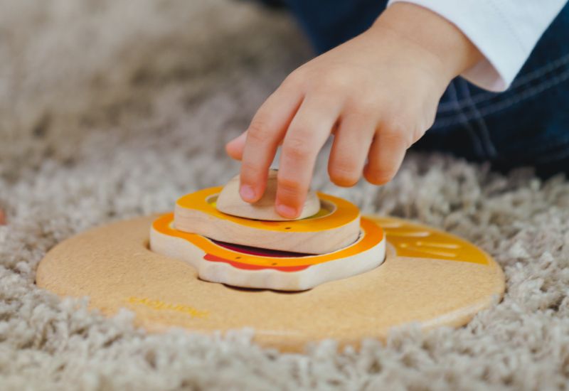 泰國 Plantoys - 雙面立體拼圖-母雞帶小雞