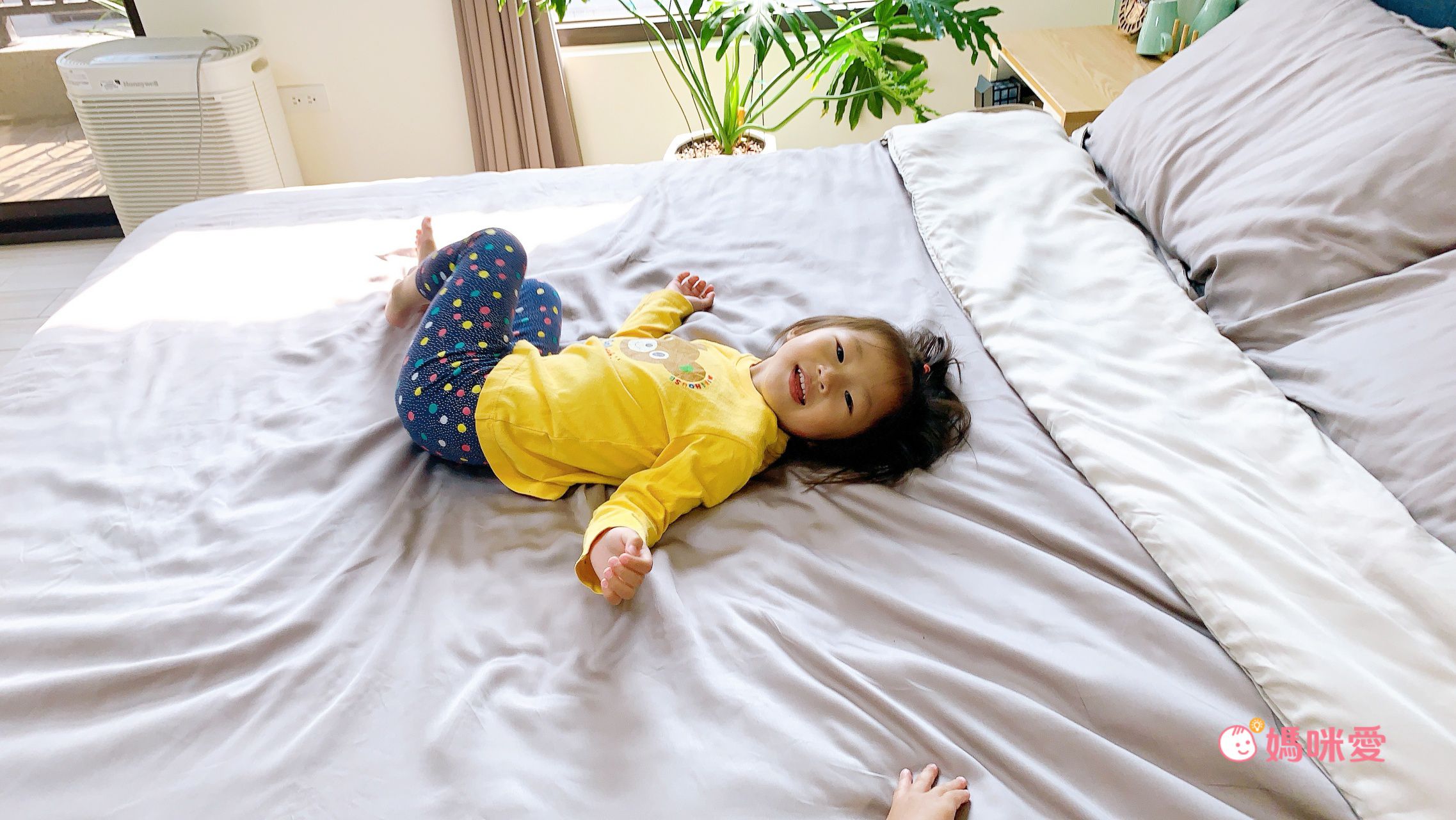 台灣製！ 100% 萊賽爾60支天絲床包組 【鴻宇 HongYew】