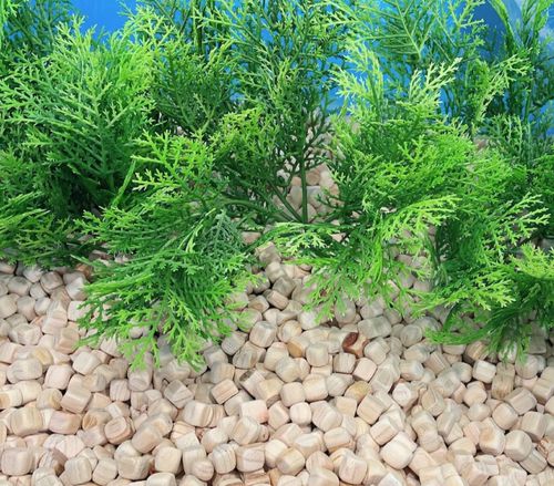 荷木小立方木兒 (12MM)-400顆左右