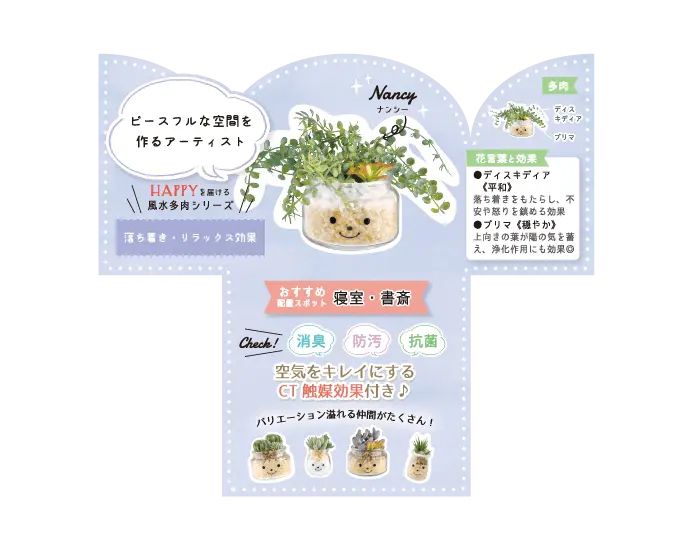 日本 KISHIMA - CT觸媒 開運消臭仿真多肉盆栽-RELAX-Nancy (L(22.5x12x10cm))