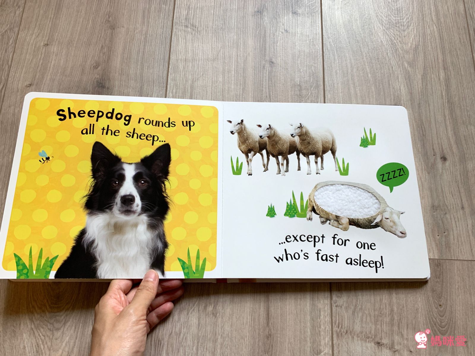 ✰英語【感統遊戲書】大集合✰ 擊鼓樂器書 / 趣味音效書 / 精裝觸摸書，促進幼兒感統發展