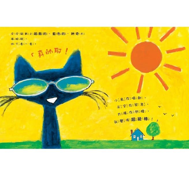 皮皮貓和他的神奇太陽眼鏡-精裝