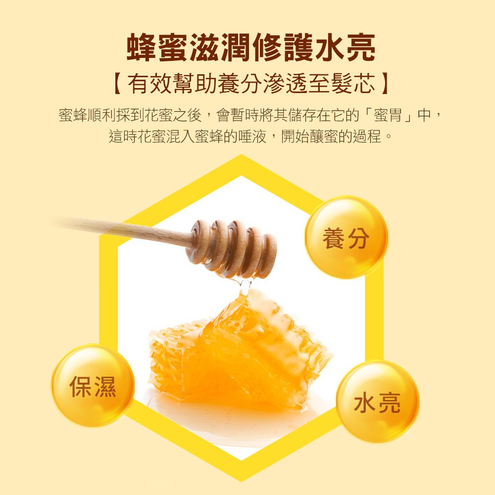 KERASYS可瑞絲 - 蜂膠活力光澤洗髮精-1000ml-3款可選 頭皮調理洗髮精-紅蜂膠 (單入)-1000ml