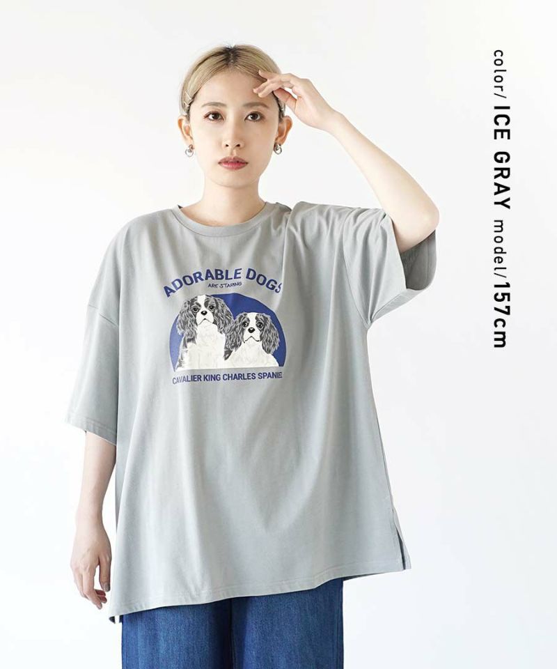 日本 zootie - 棉混落肩狗狗印花短T-白