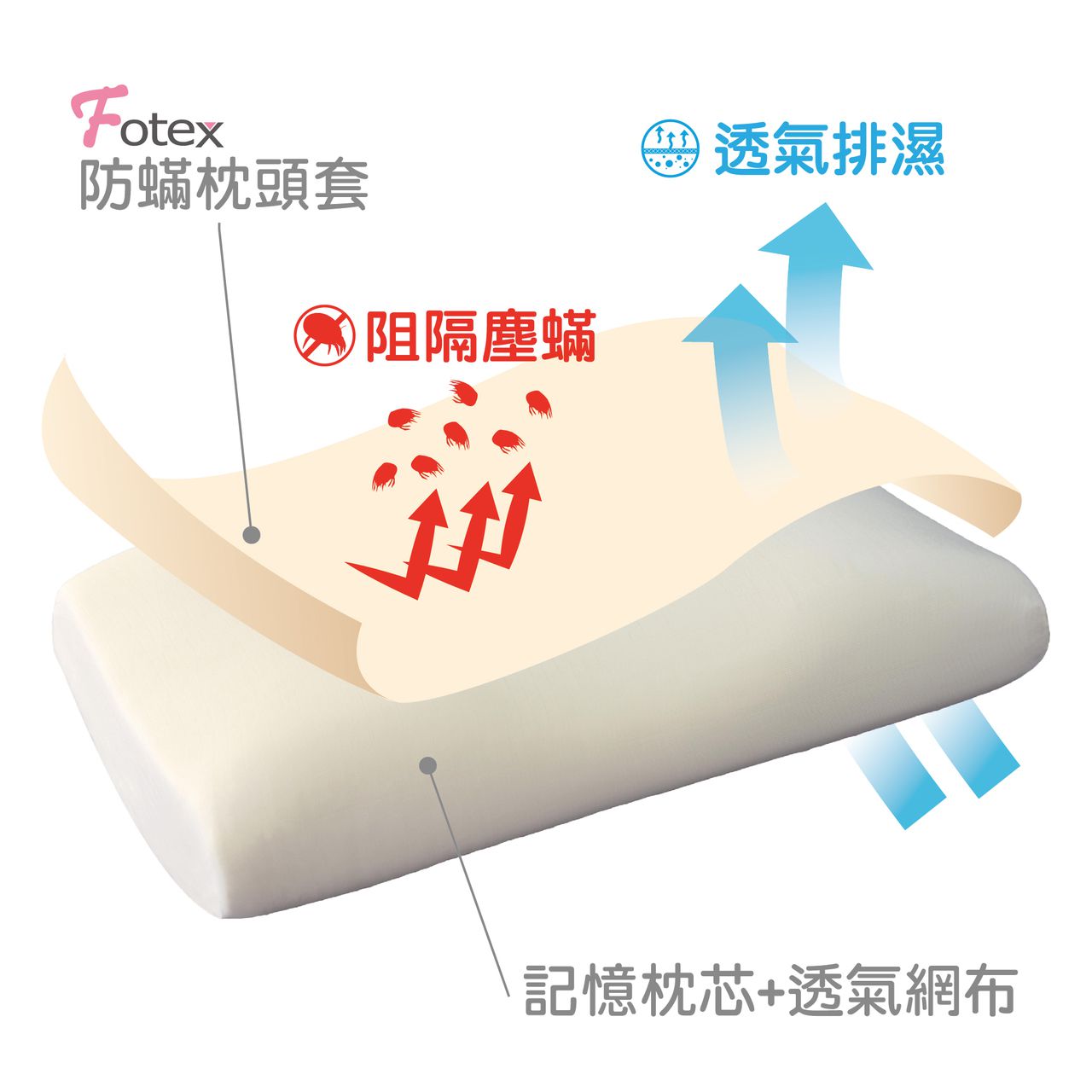 Fotex 芙特斯 - 【防蟎記憶枕】柔雲款(一對2顆)含外層物理性防螨套 釋壓枕頭 過敏患者專用 (64x40x12cm)