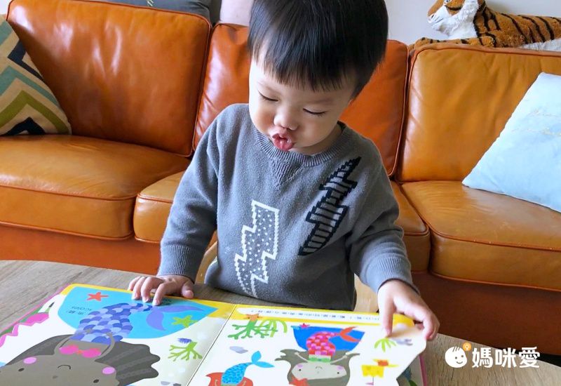 禾流文創 - Amazing!變形認知書 3本一套-變形恐龍認知書+變形動物認知書+變形魔法認知書